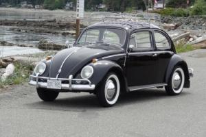 1959 Volkswagen Beetle - Classic Photo