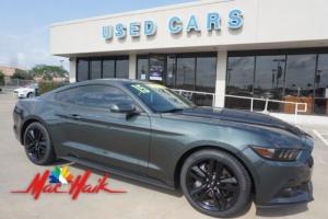 2015 Ford Mustang EcoBoost Premium Photo