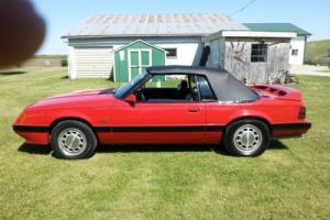 1986 Ford Mustang Photo