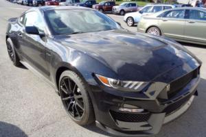 2017 Ford Mustang New 2017 Shelby GT350 Black