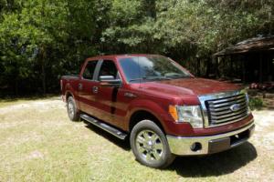 2010 Ford F-150 Photo