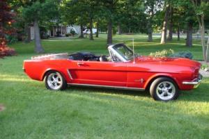 1964 Ford Mustang Photo