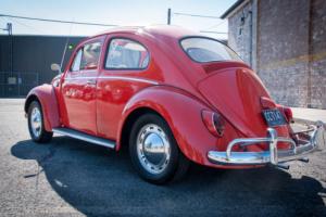 1963 Volkswagen Beetle - Classic