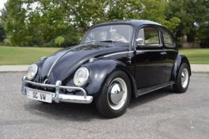 1963 Volkswagen Beetle-New -- Photo