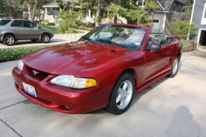1994 Ford Mustang GT Photo