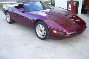 1993 Chevrolet Corvette Photo