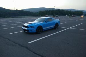 2013 Ford Mustang GT500 Photo