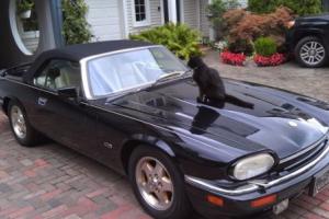 1994 Jaguar XJS Photo