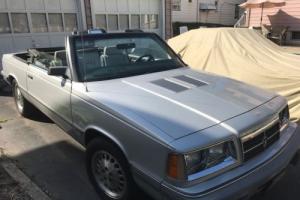 1986 Dodge Other Photo