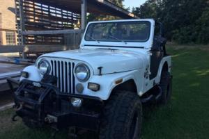 1980 Jeep CJ