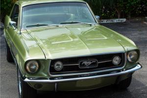 1967 Ford Mustang -- Photo