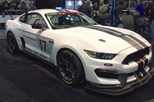 0000 Ford Mustang Race Car Photo