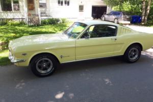 Ford: Mustang 289 2+2 Photo