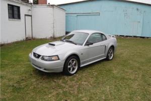 2002 Ford Mustang GT Premium Photo