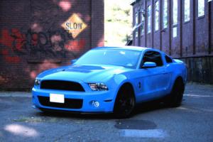2010 Ford Mustang GT500 Photo