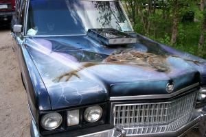 Cadillac : Fleetwood Hearse Photo