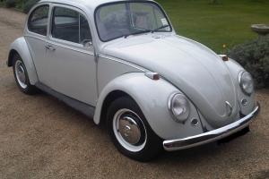  Classic 67 Beetle - Collectors item 