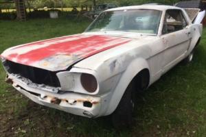 1966 Ford Mustang Coupe Rolling Car for Restoration  US Import Classic American Photo