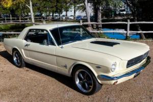 Ford Mustang 289 V8 Stroked 300bhp Photo