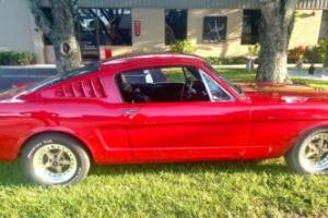 1965 Ford Mustang Fastback 2+2 Photo