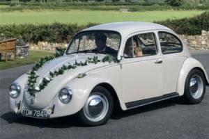 VW Beetle 1968