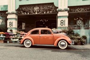 1957 oval beetle