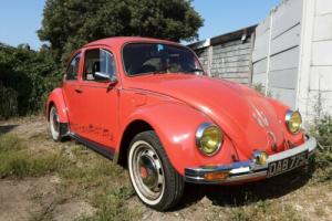 Volkswagen beetle, stunning car , NOW REDUCED Photo