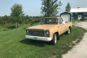 1976 Chevrolet C-10