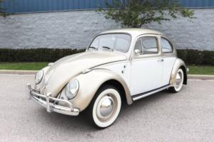 1961 Volkswagen Beetle - Classic | RESTORED | Classic 1200cc | 100+ HD Pictures