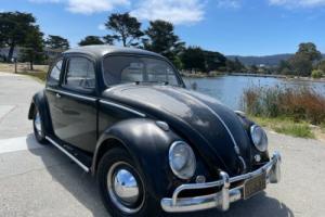 1958 Volkswagen Beetle - Classic Photo