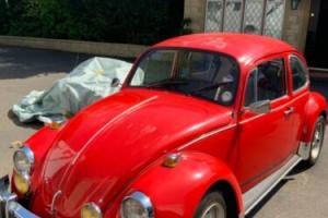 Volkswagen Beetle Photo