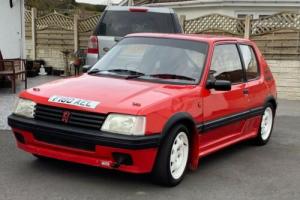 Peugeot 205 GTI Track/Rally Car Photo