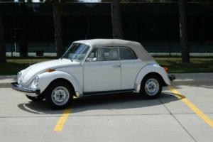 1979 Volkswagen Beetle - Classic Photo