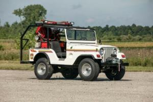 1953 Jeep Willys M38A1 Photo