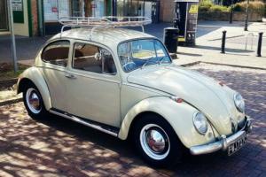 1965 Volkswagen Beetle Photo