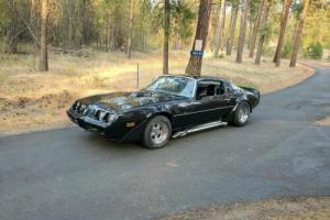 1979 Pontiac Firebird Photo