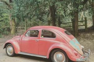 1956 VW Volkswagen Beetle Oval Window LHD Coral red superb survivor unmolested Photo