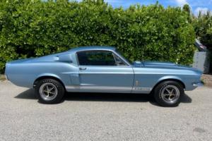 1967 Ford Shelby GT350 Photo
