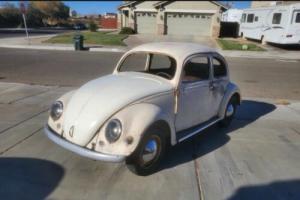 1955 Volkswagen Beetle oval window Photo