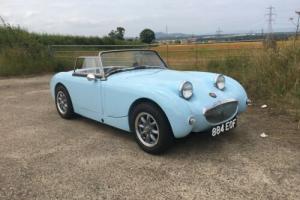 Austin Healey Frogeye Sprite 1960 all steel including the bonnet, had ££££ spent Photo