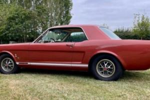 Ford Mustang Coupe - Factory GT - 1966 - Emberglow (rare) - A Code Photo
