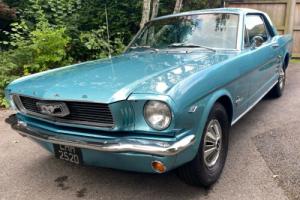 Ford Mustang 289 C Code 1966 Photo