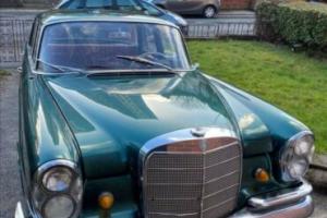 classic cars restoration project (bargain) Photo
