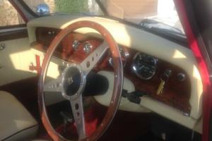 Beauford Photo