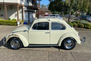 1967 Volkswagen Beetle bug