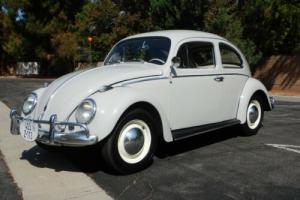 1960 Volkswagen Beetle - Classic Photo
