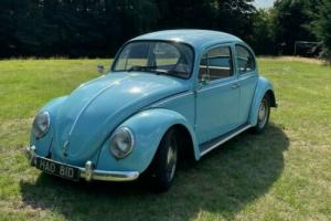 vw volkswagen beetle  1300 1966 restored Photo