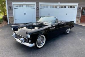 1955 Ford Thunderbird