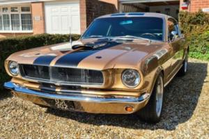 1965 Ford Mustang Fastback GT 350 replica Photo
