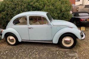 classic vw beetle 1500 Deluxe